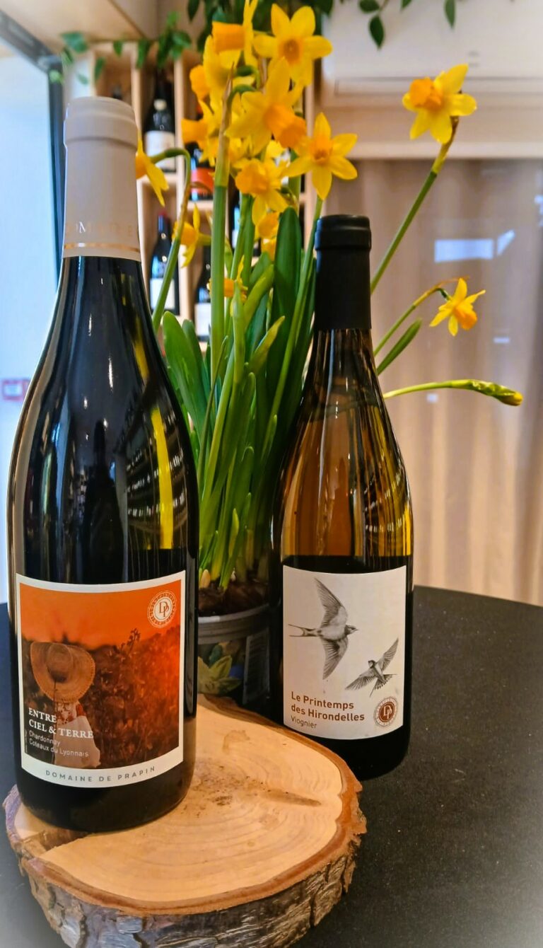 WhatsApp Image 2026-02-26 at 16.04.00 (2)