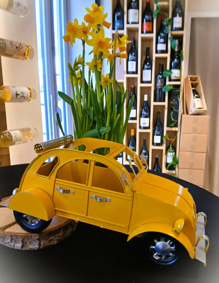 WhatsApp Image 2026-02-26 at 16.04.00