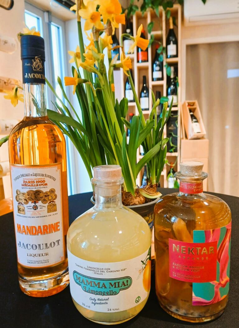 WhatsApp Image 2026-02-26 at 16.04.01 (2)