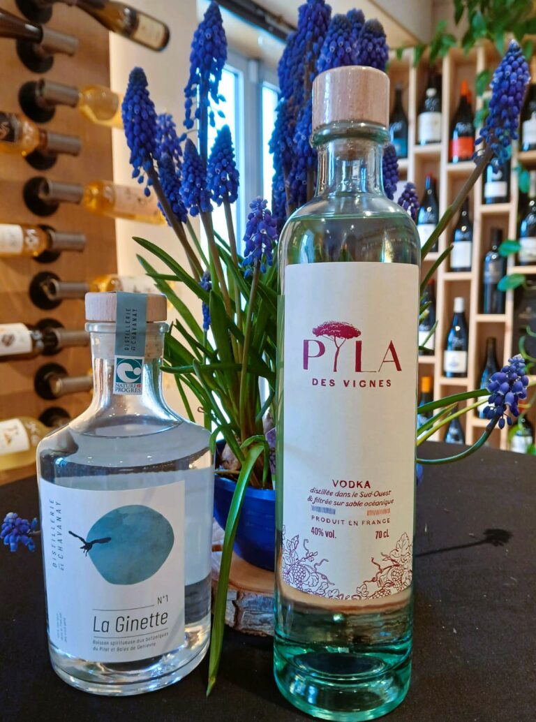 WhatsApp Image 2026-02-26 at 16.04.18 (2)